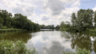 Zomerregeling - Kreken