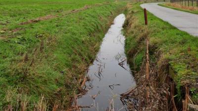 Openbaar onderzoek voor het rangschikken van waterlopen tweede categorie in de gemeente Assenede - 