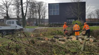 Stormschade opgelopen? Meld dit voor 1 mei - Stormschade. Stormschade opgelopen? Meld dit voor 1 mei - Stormschade.
