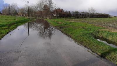 Hooghofstraat kampt met wateroverlast - Hooghofstraat kampt met wateroverlast -